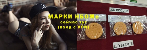 ГАЛЛЮЦИНОГЕННЫЕ ГРИБЫ Костерёво