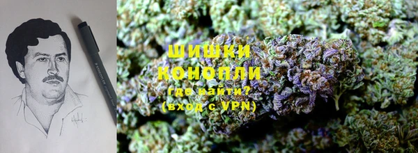 индика Кодинск