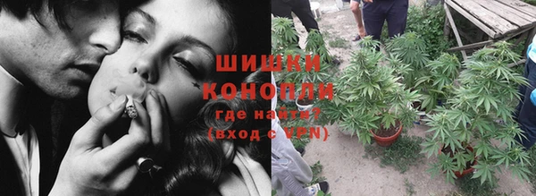 ГАЛЛЮЦИНОГЕННЫЕ ГРИБЫ Костерёво