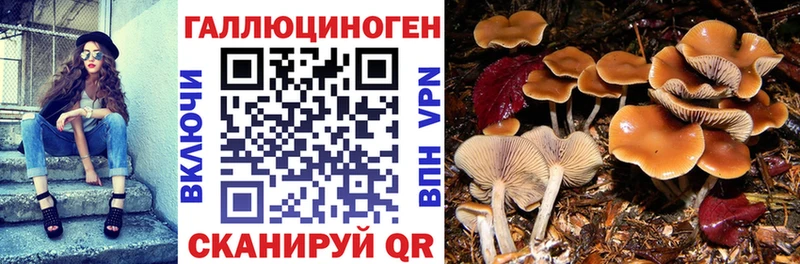 Галлюциногенные грибы Magic Shrooms  цены   Кировград 